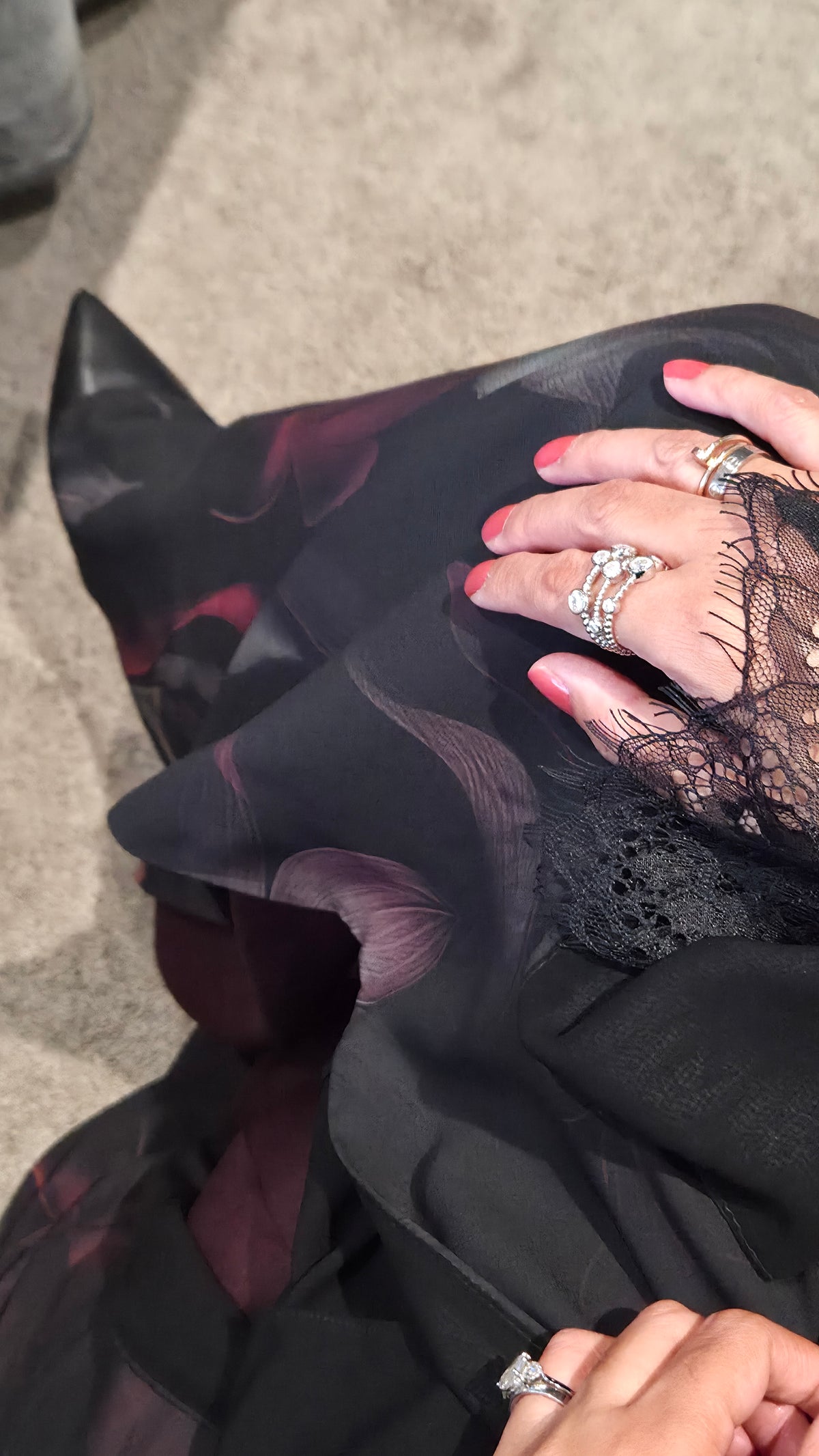 chiffon Midnight bloom